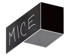 MICE Eventos para empresas